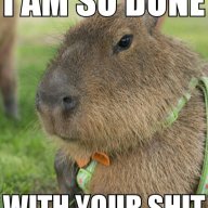 capybara90